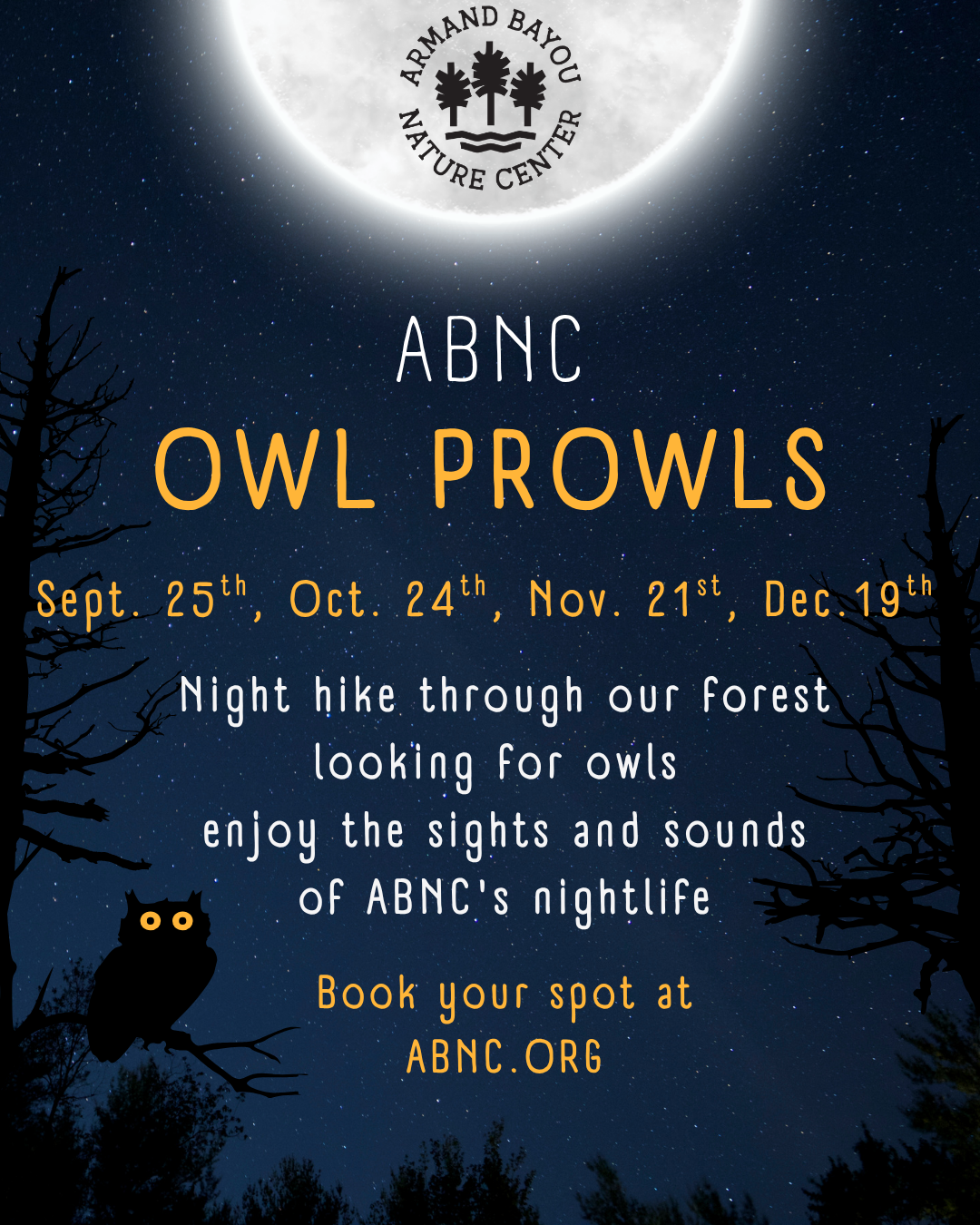 owl prowl IG45 (1).png