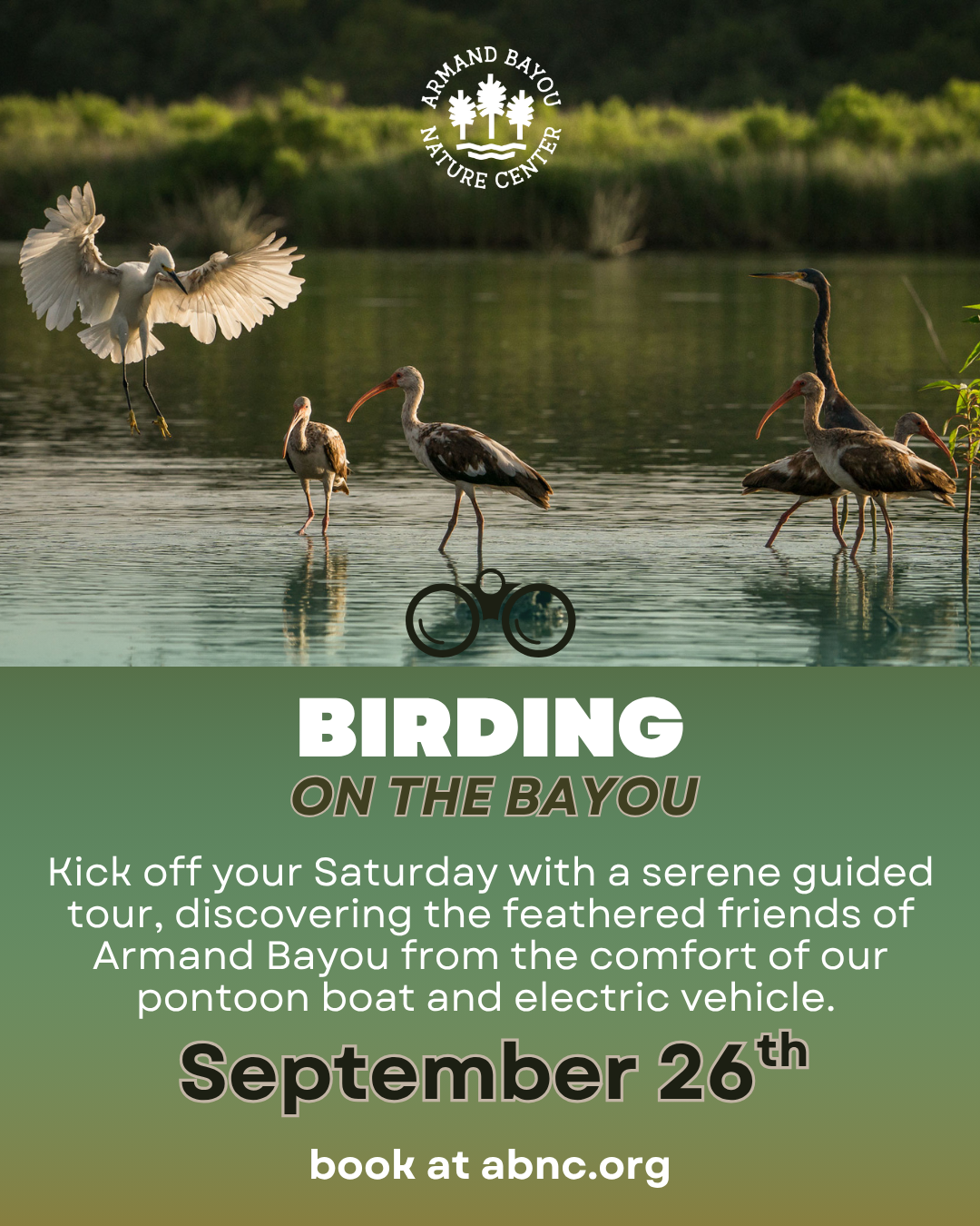 Birding on the Bayou IG45.png