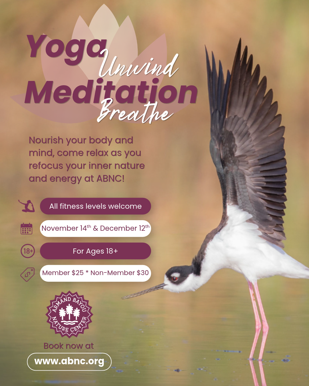 Yoga at ABNC 45 (2).png