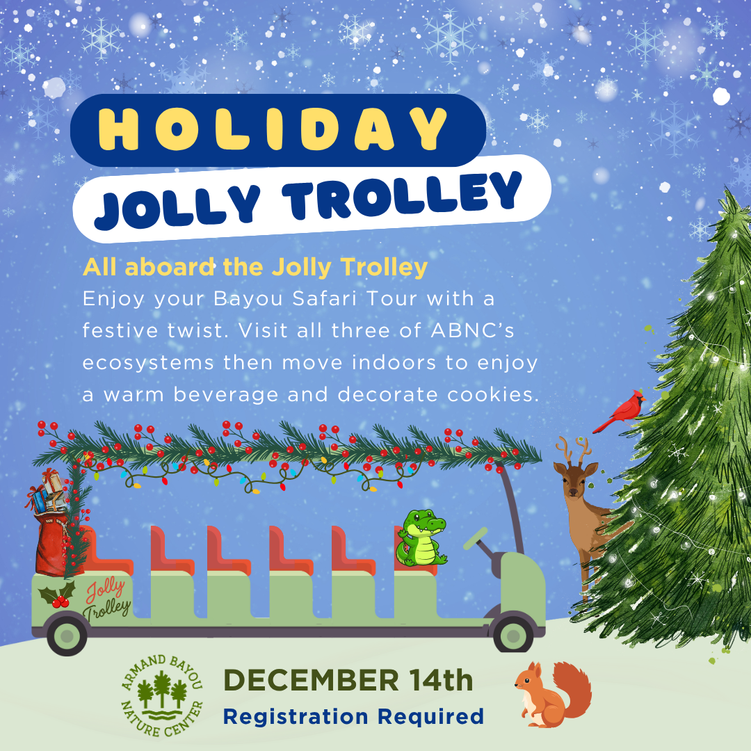 Jolly Rolly Jolly Trolley Bayou Safari — ABNC