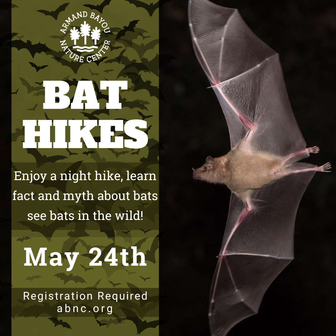 Bat Hikes May.png