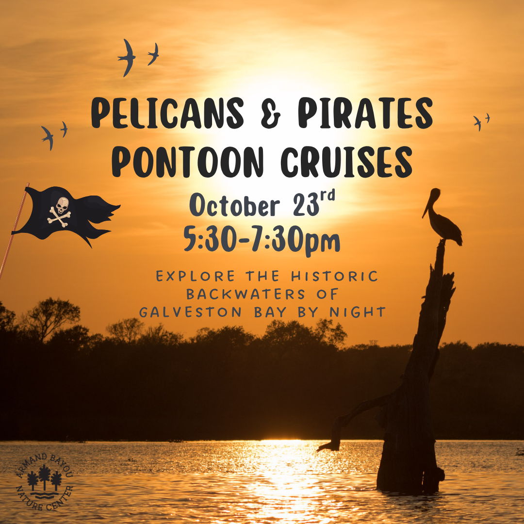 Pelicans & Pirates Pontoon 2025.png