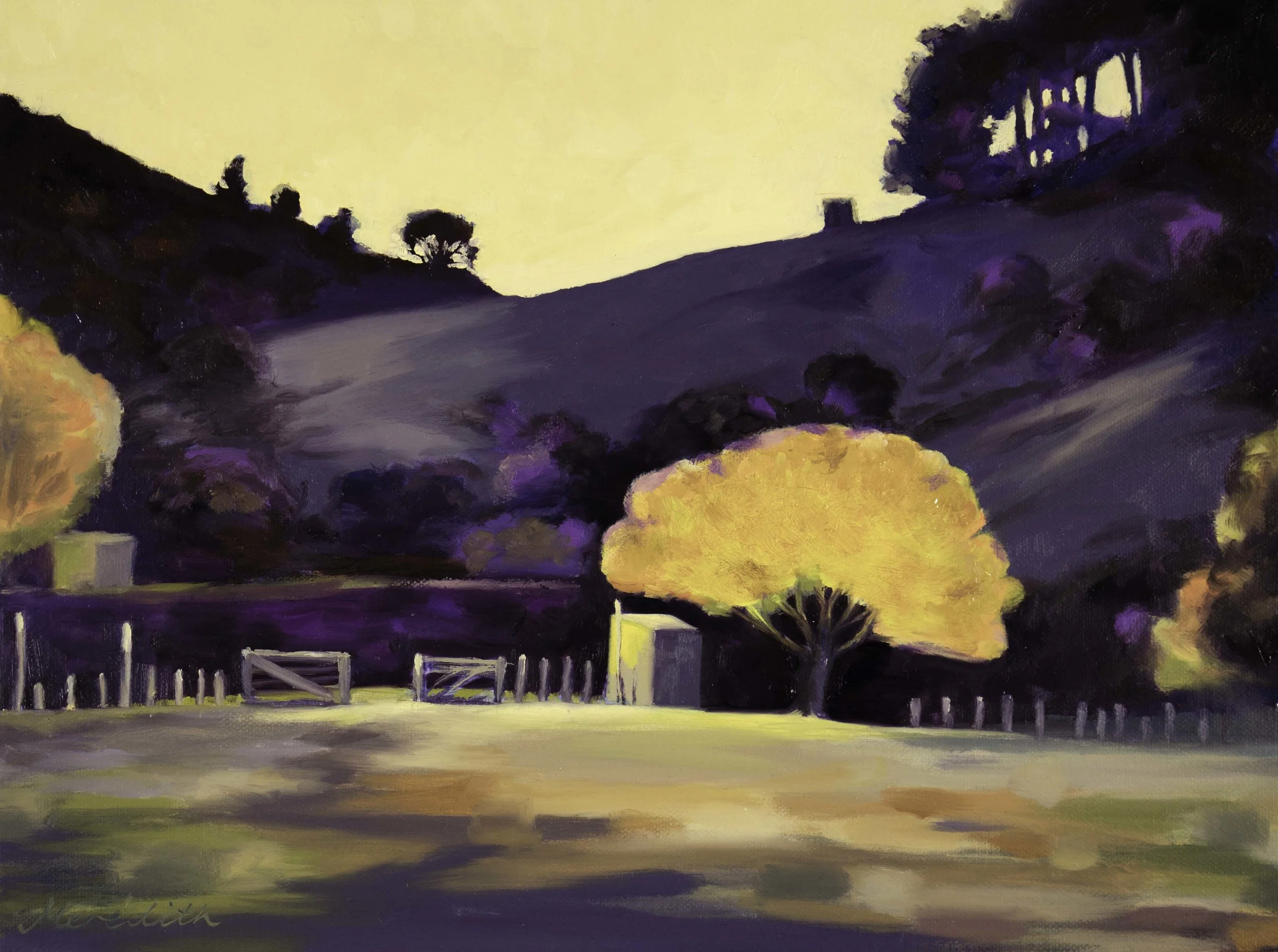 Maitai Morning sun, Nelson (2018). Oil on canvas (framed) 400mm x 300mm