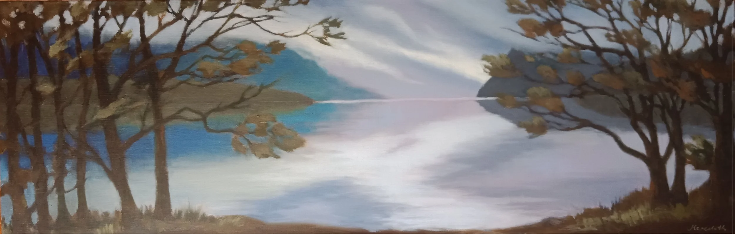 Lake Rotoiti Through Trees (2019).