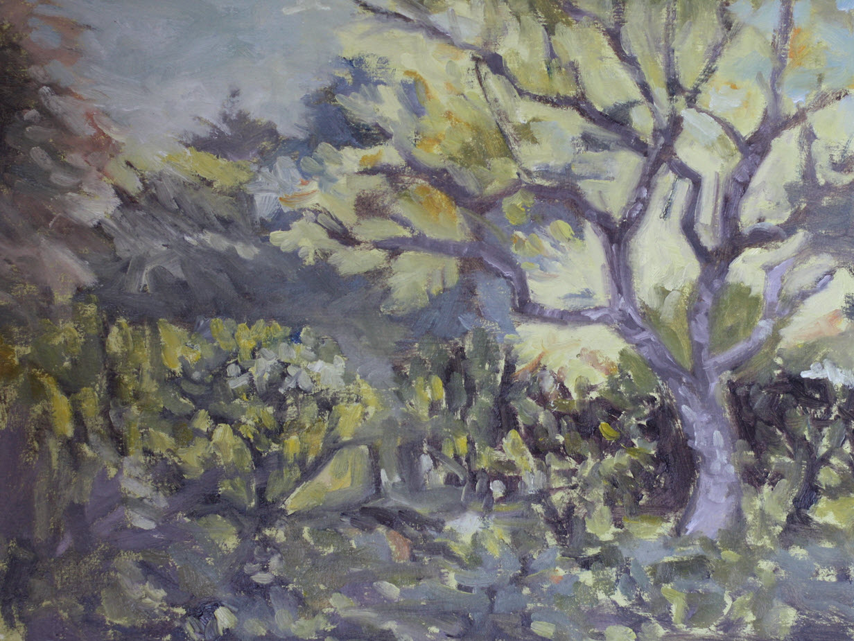 Queens Gardens Trees (2019, Week 7). 290 mm x 308 mm.