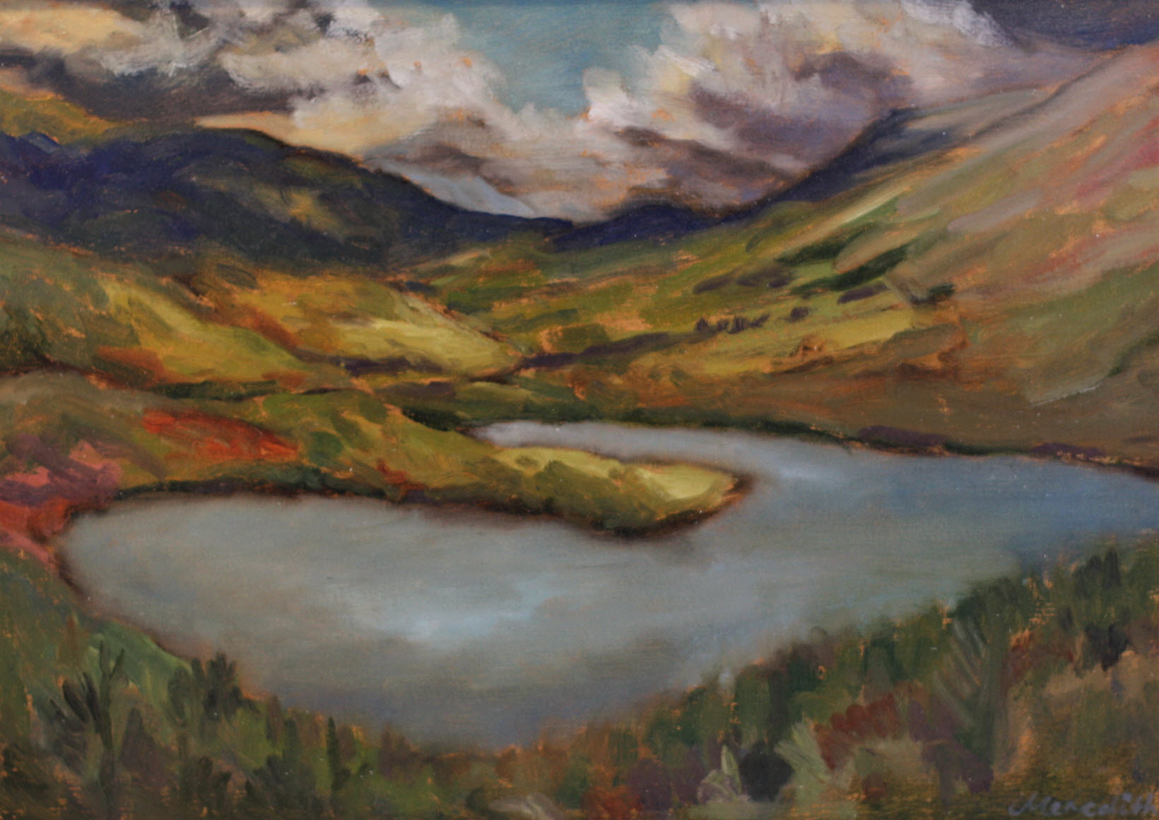 Lake Rotoiti from the Base of Mount Robert (2018). 290 mm x 410 mm. Oil on Paper (Framed).