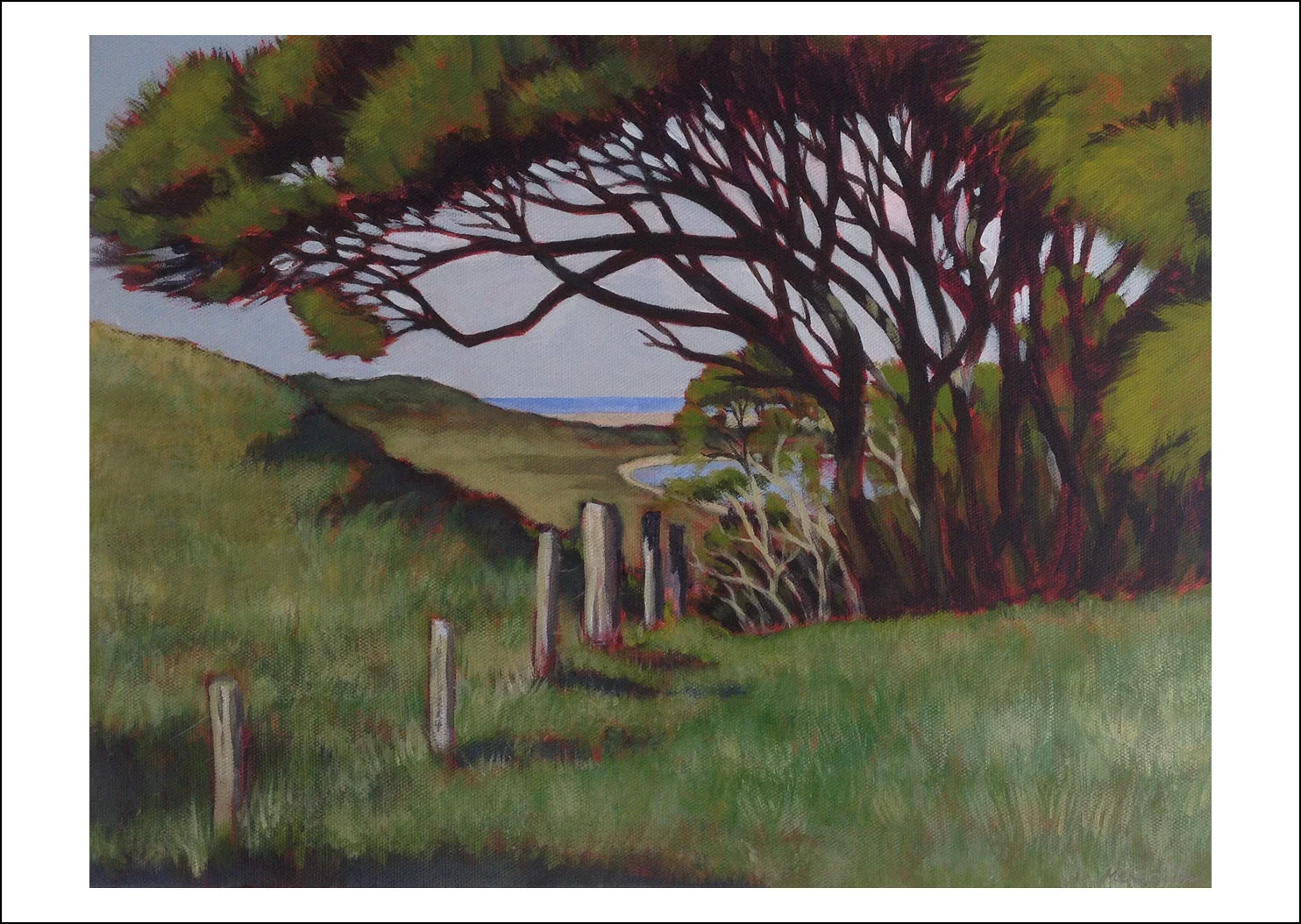 5. Manuka I Wharariki, Golden Bay