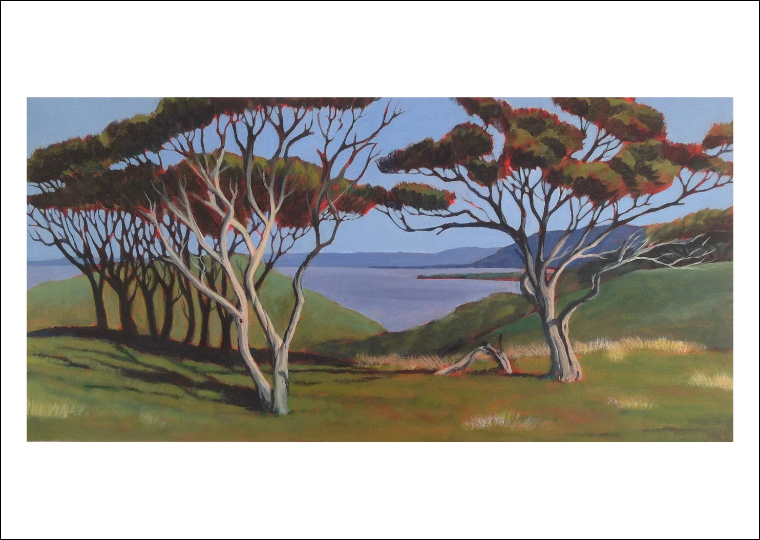 6. Manuka II Wharariki, Golden Bay