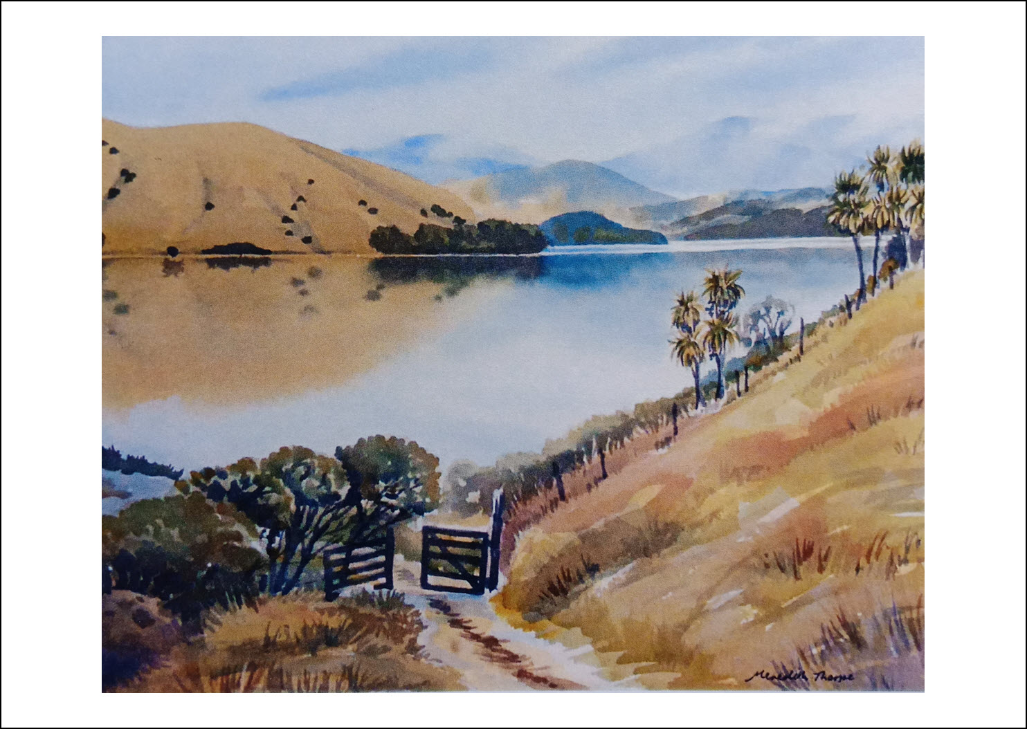 20. Misty morning - Cable Bay