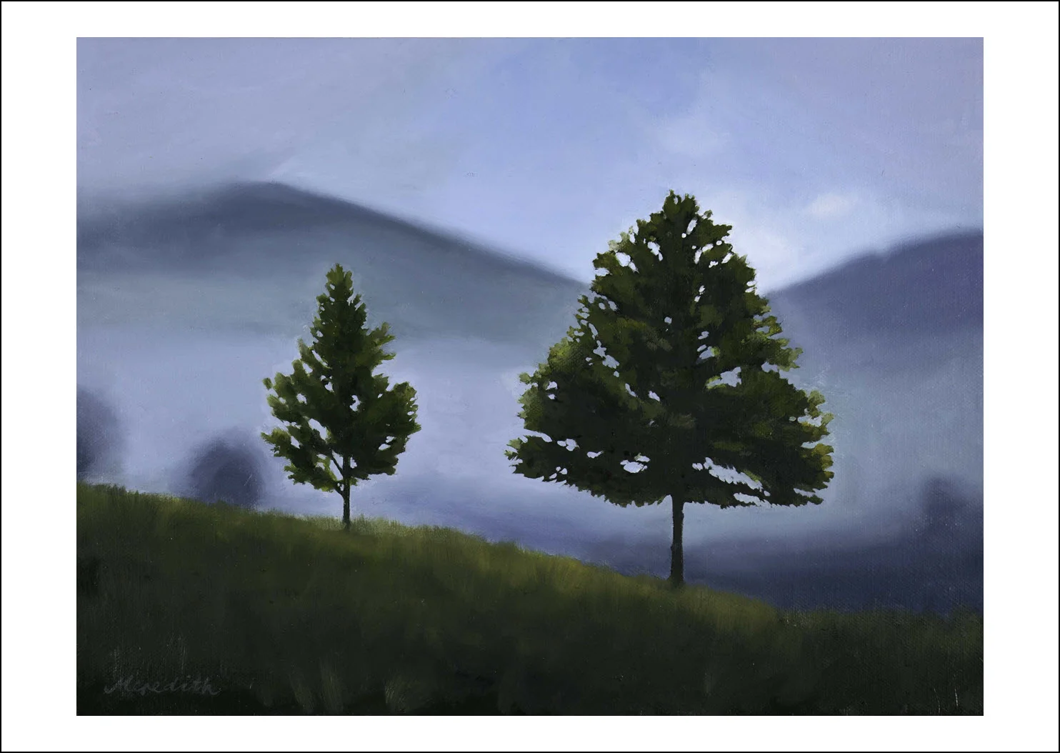49. Maitai Morning Mist, Nelson