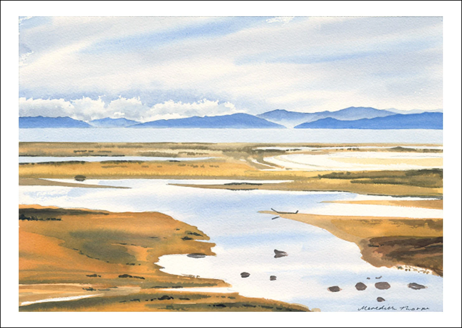 24. Able Tasman Summer.jpg