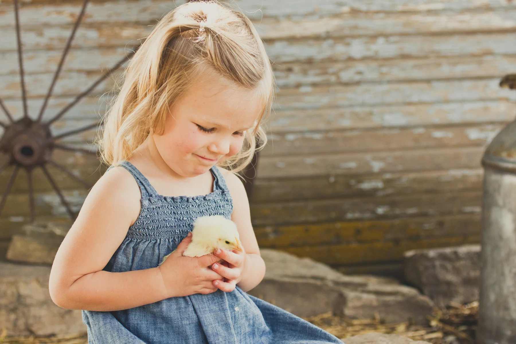 Ruthie looking at chick.jpg