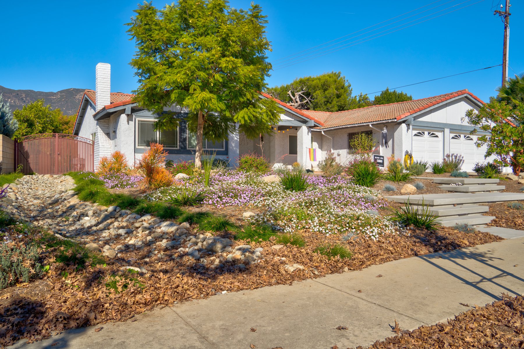 Hot Weather-Friendly Modern Colorful Xeriscape: Southern California's Vibrant Solution for Water-Efficient Landscaping.