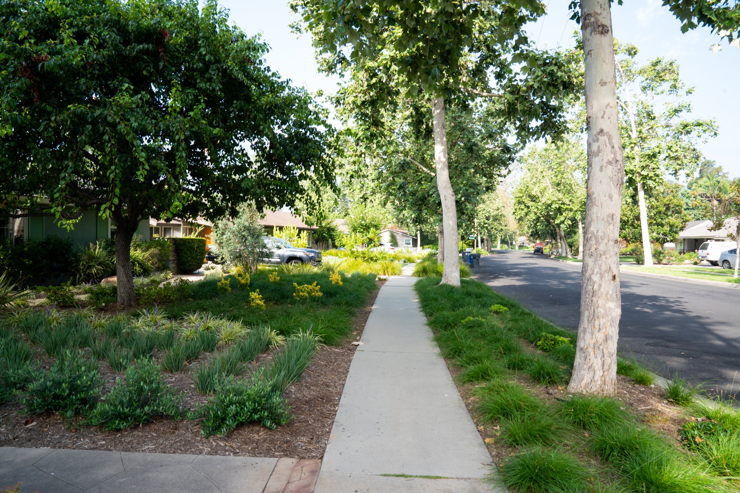 Contemporary Drought-Resistant Landscaping in Orange County, CA