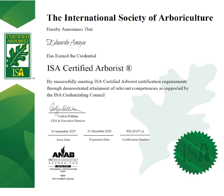 Make Your Vision a Reality