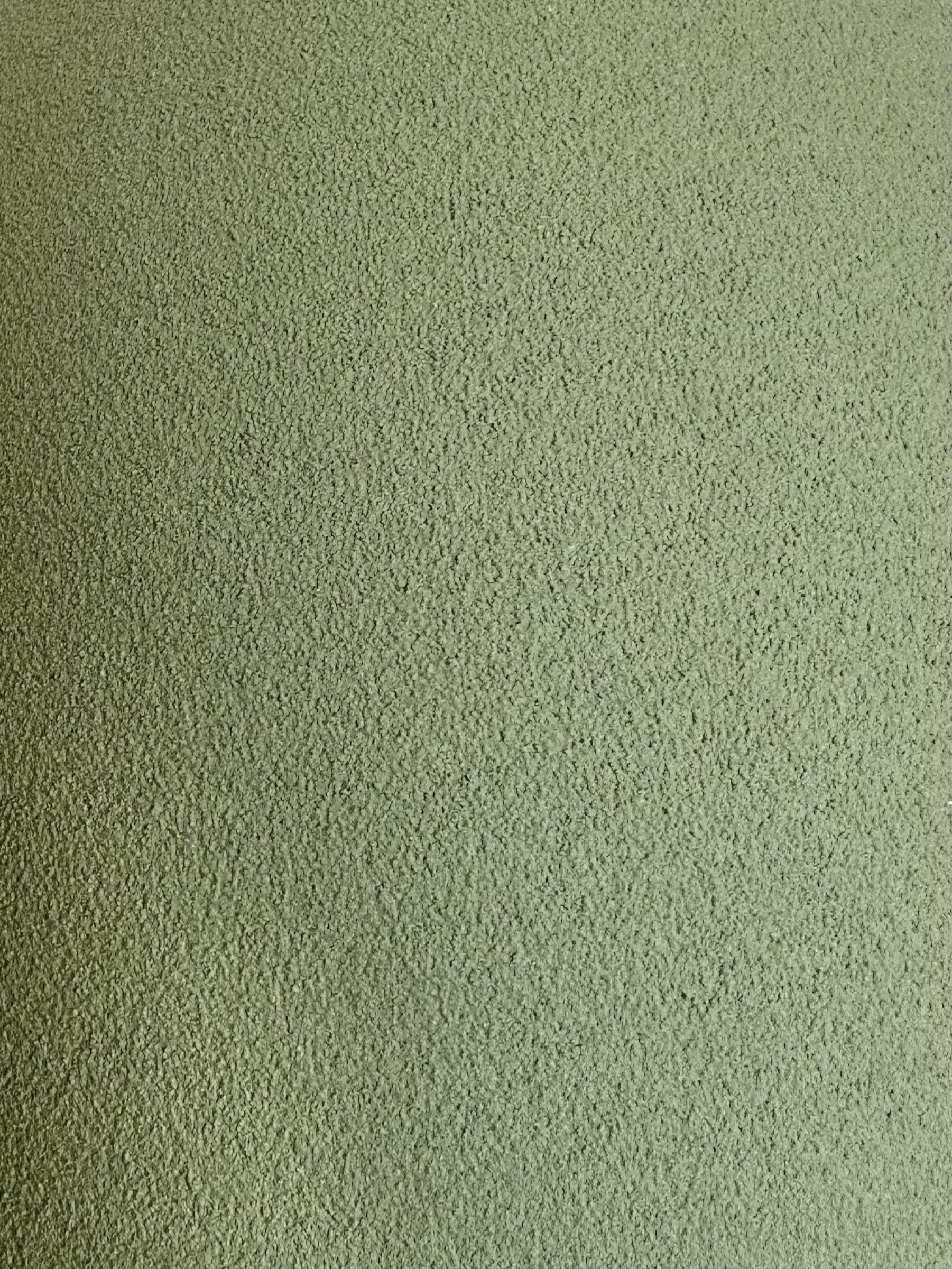 IMG_7179.jpeg