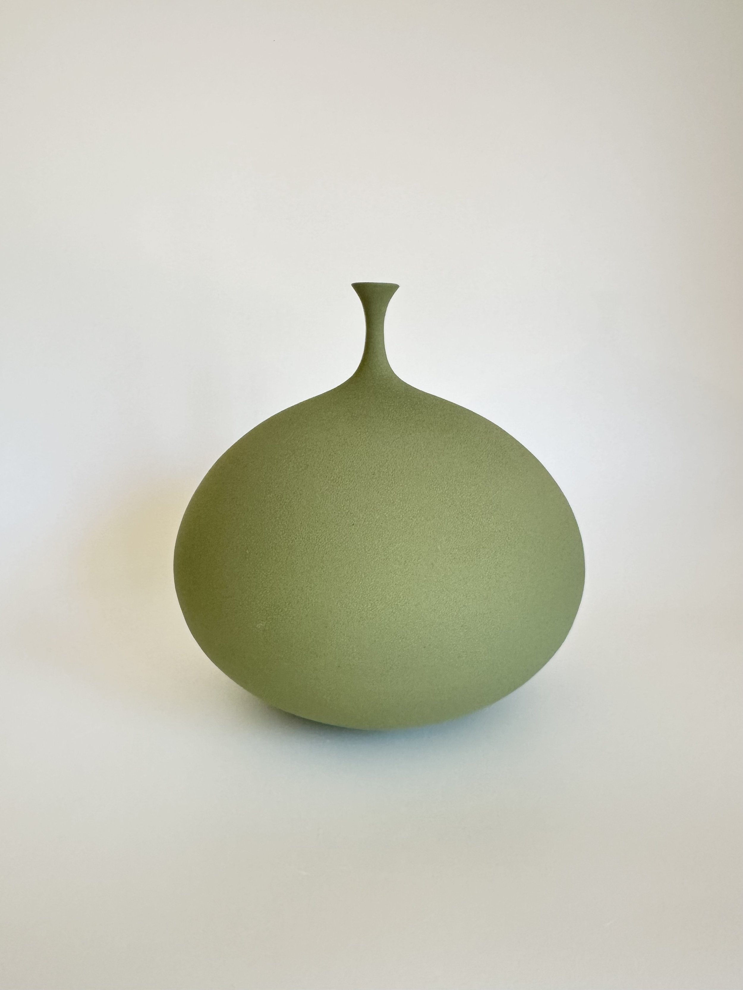 small squat pod dry dark olive