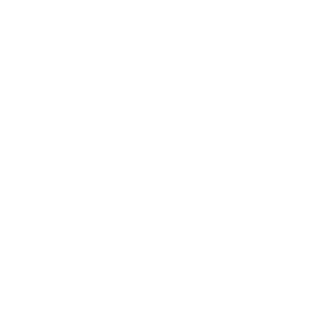 cnes.png