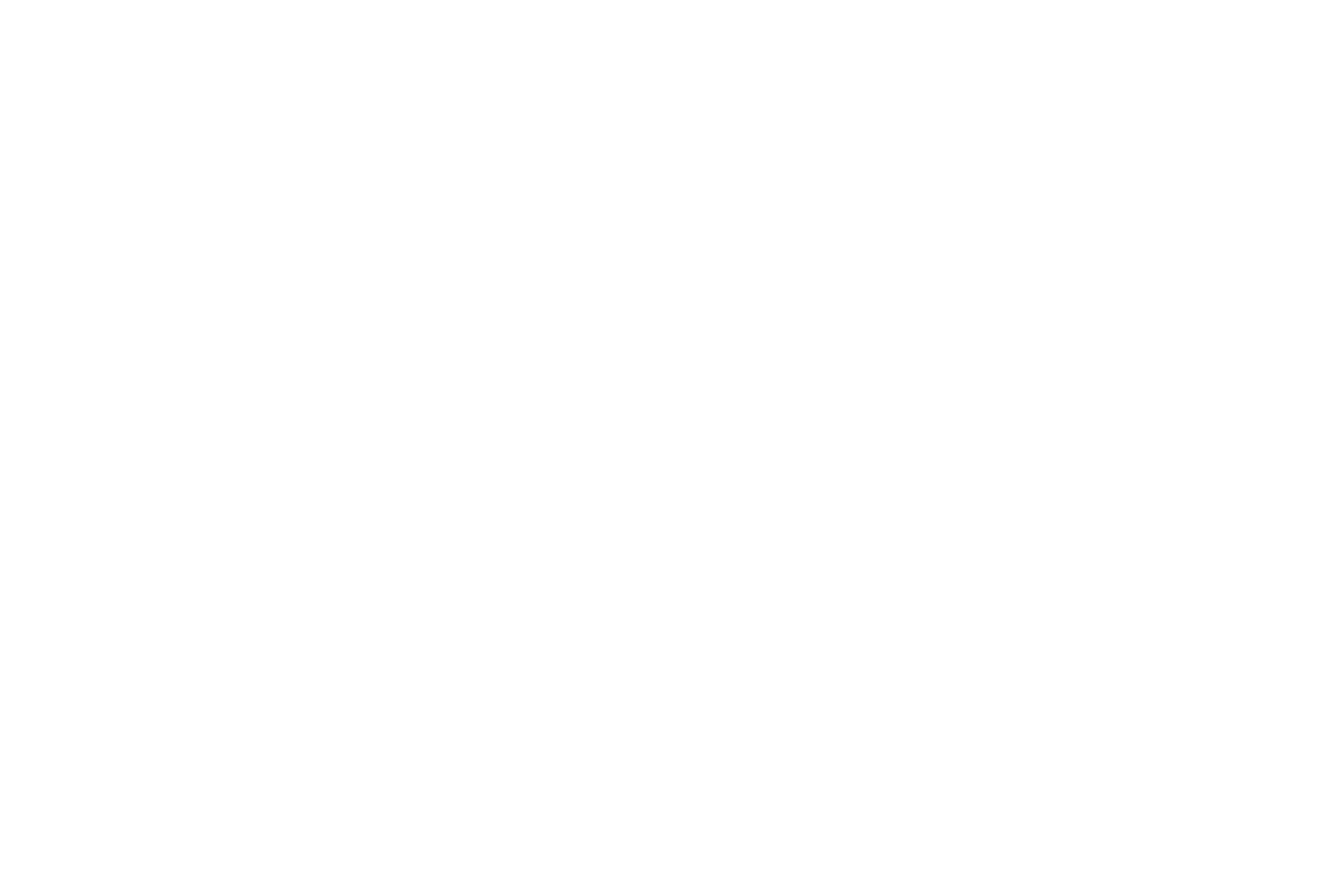 IPSA_LOGO_SS-BASELINE-2021_BLANC.png