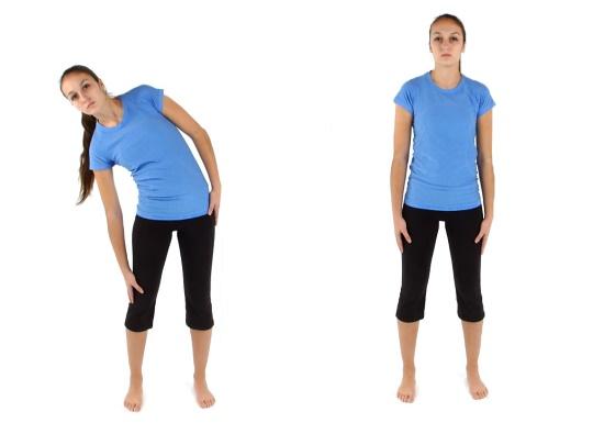 exercises for back pain 2.jpg