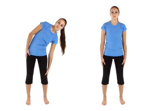 exercises for back pain.jpg