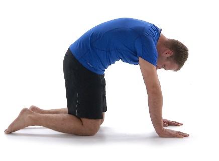 exercises for back pain 3.jpg