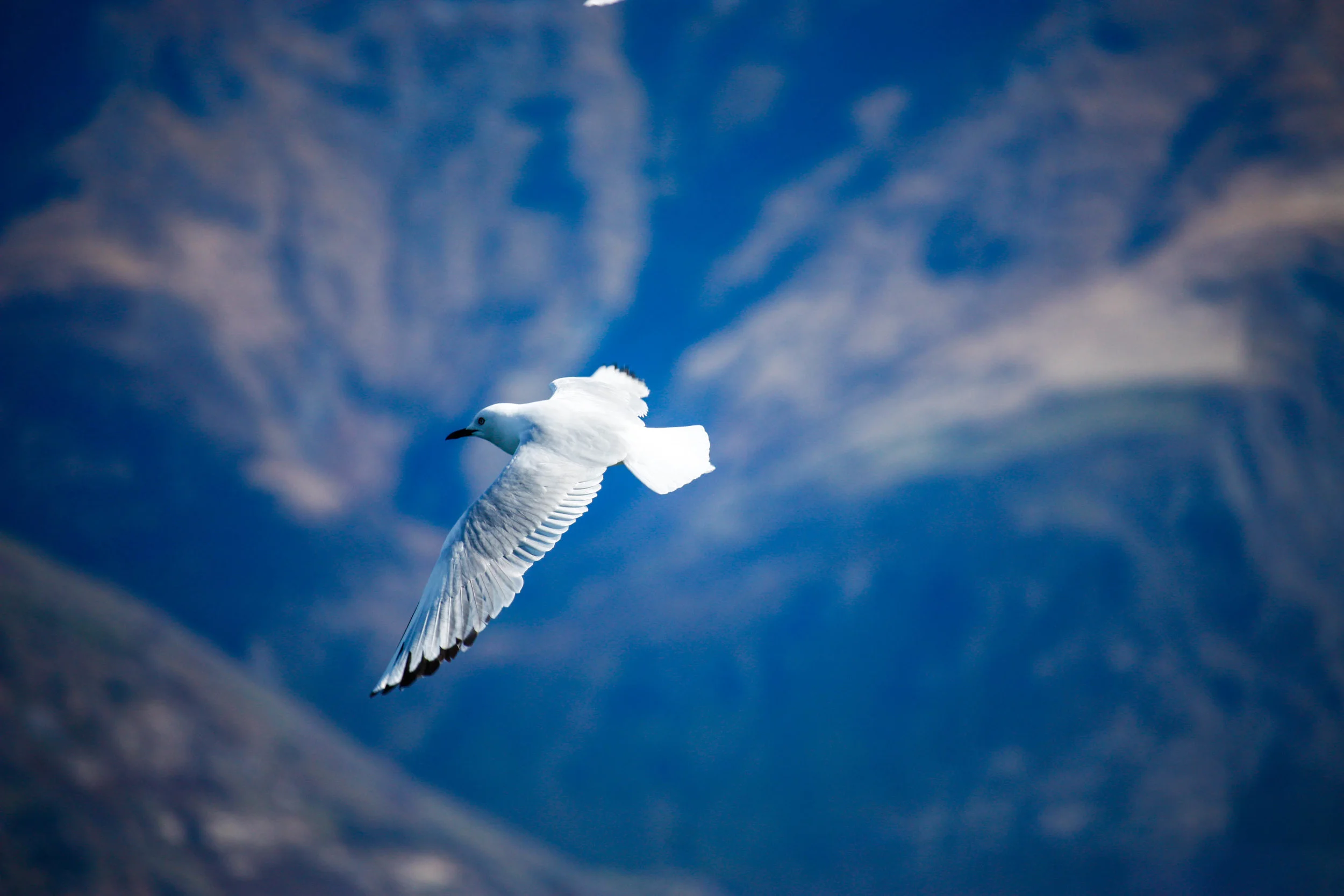 _MG_3032.jpg