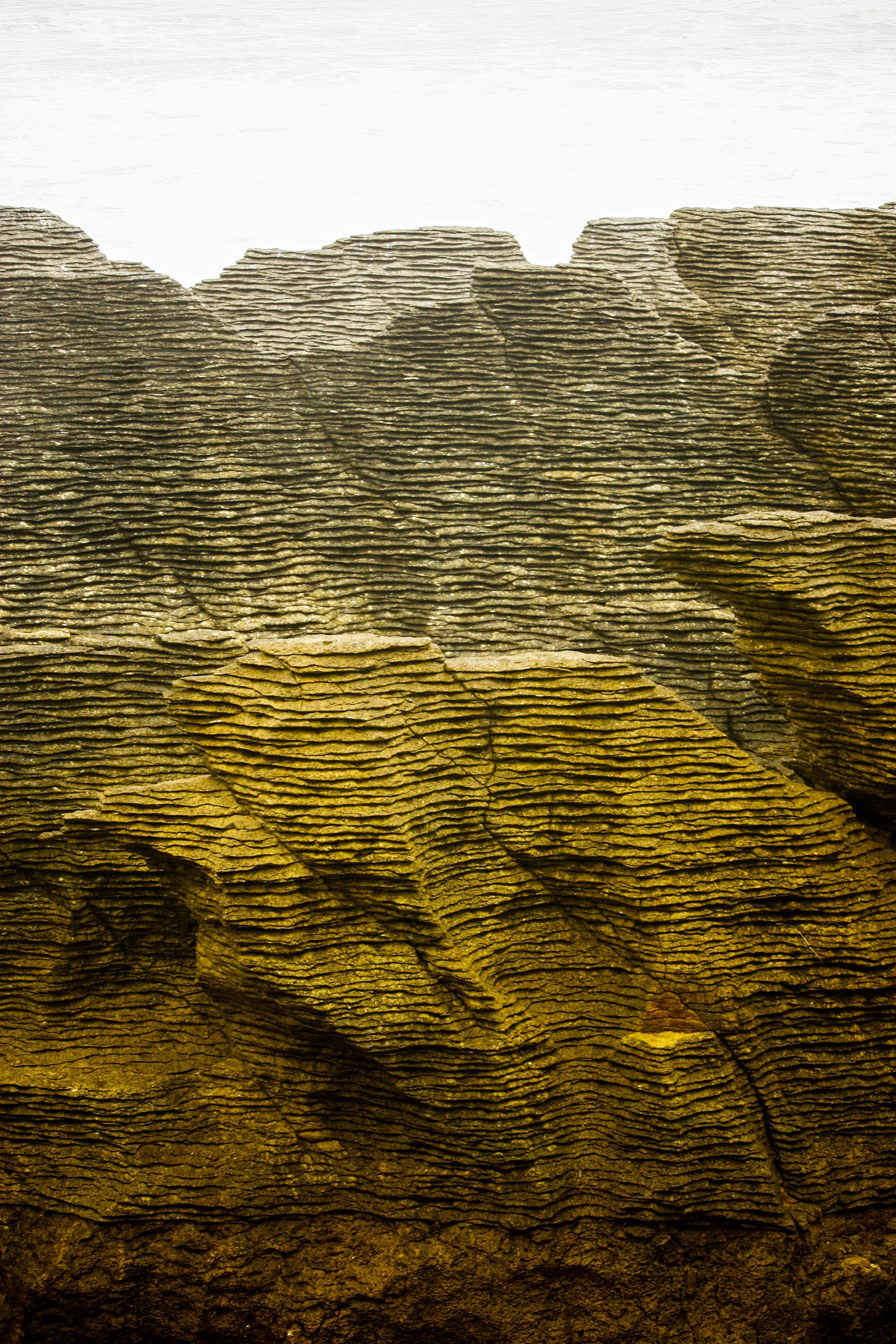 _MG_3216.jpg