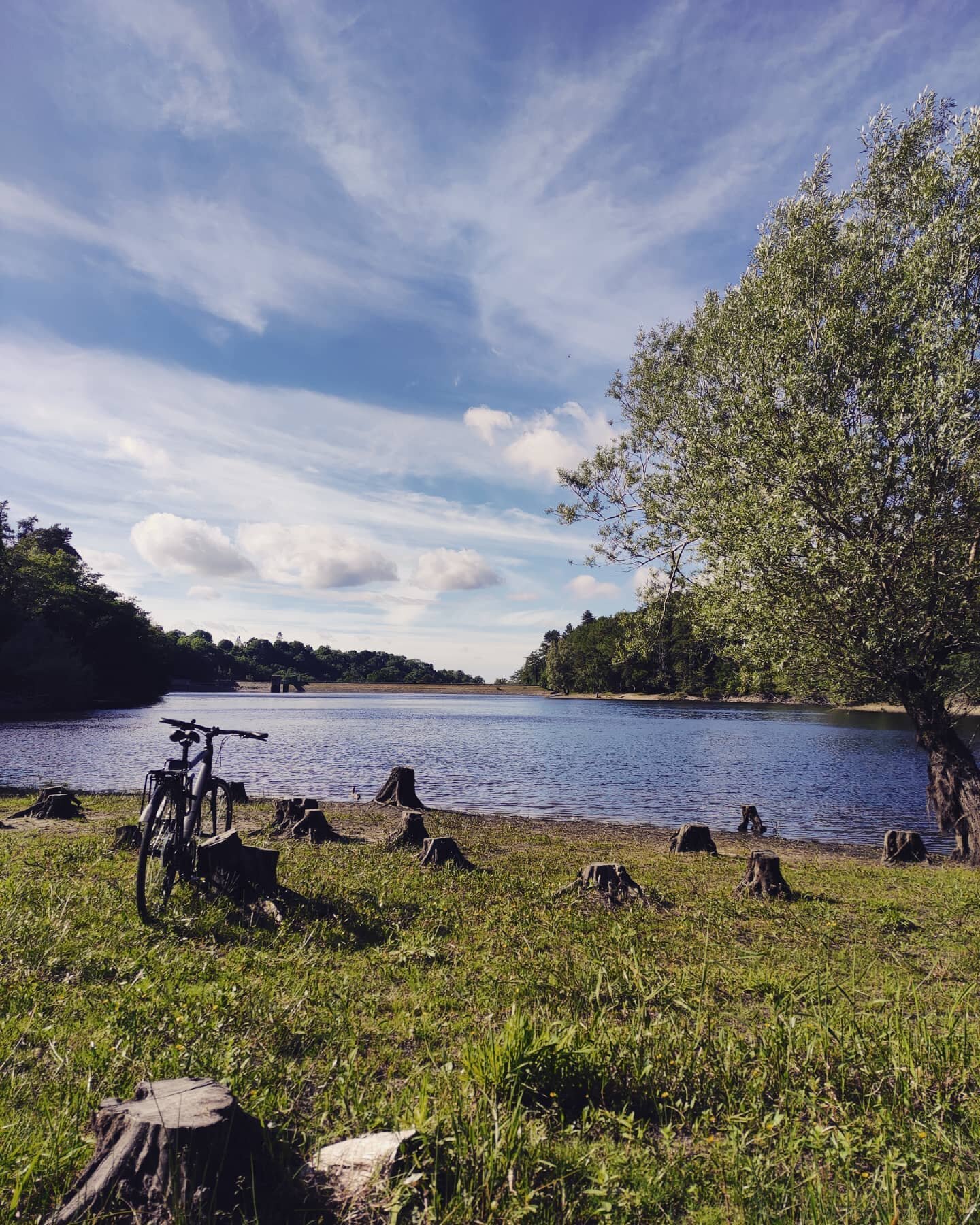 Sunday cycle

#sundaycycle #waterreservoir #sunshine #sunnysunday☀️