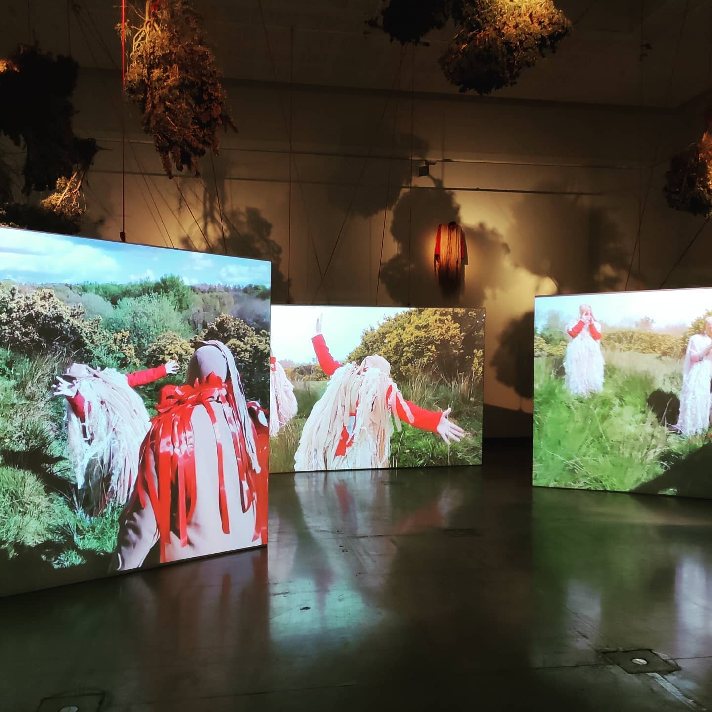 They Come Then, The Birds by @amandacooganartist at @rua_red

Amazing to be at the opening of a new exhibition this evening with people! Things are looking up!

#contemporaryart #visualart #themagdaleneseries