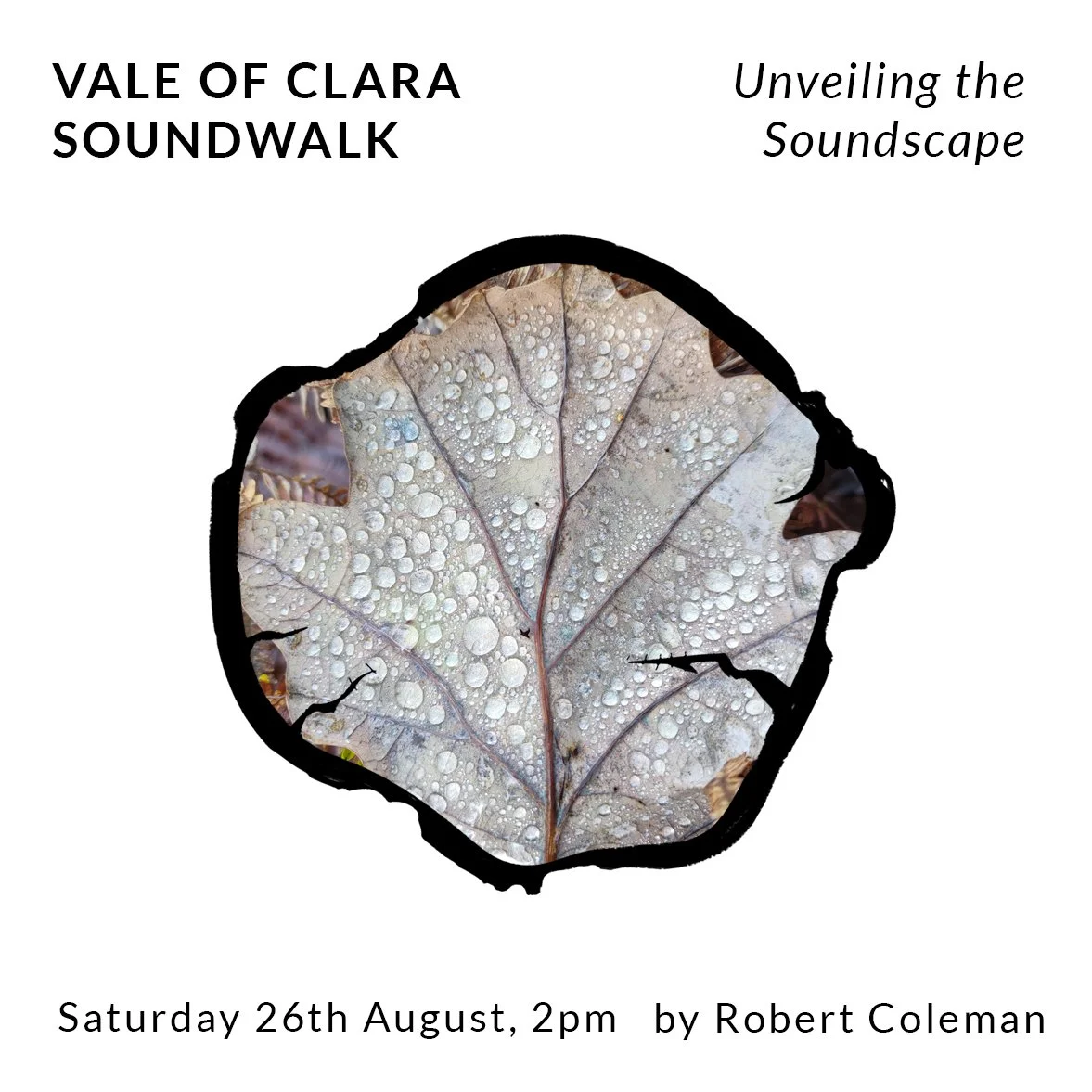 Vale of Clara Soundwalk: Unveiling the Soundscape