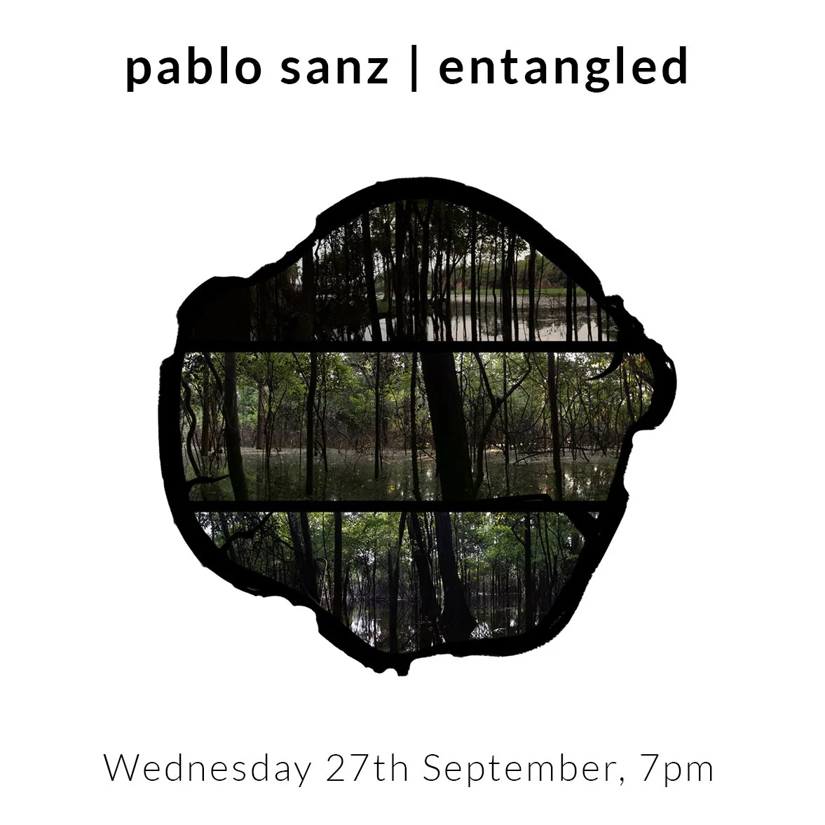School of Wild Listening: PABLO SANZ | ENTANGLED