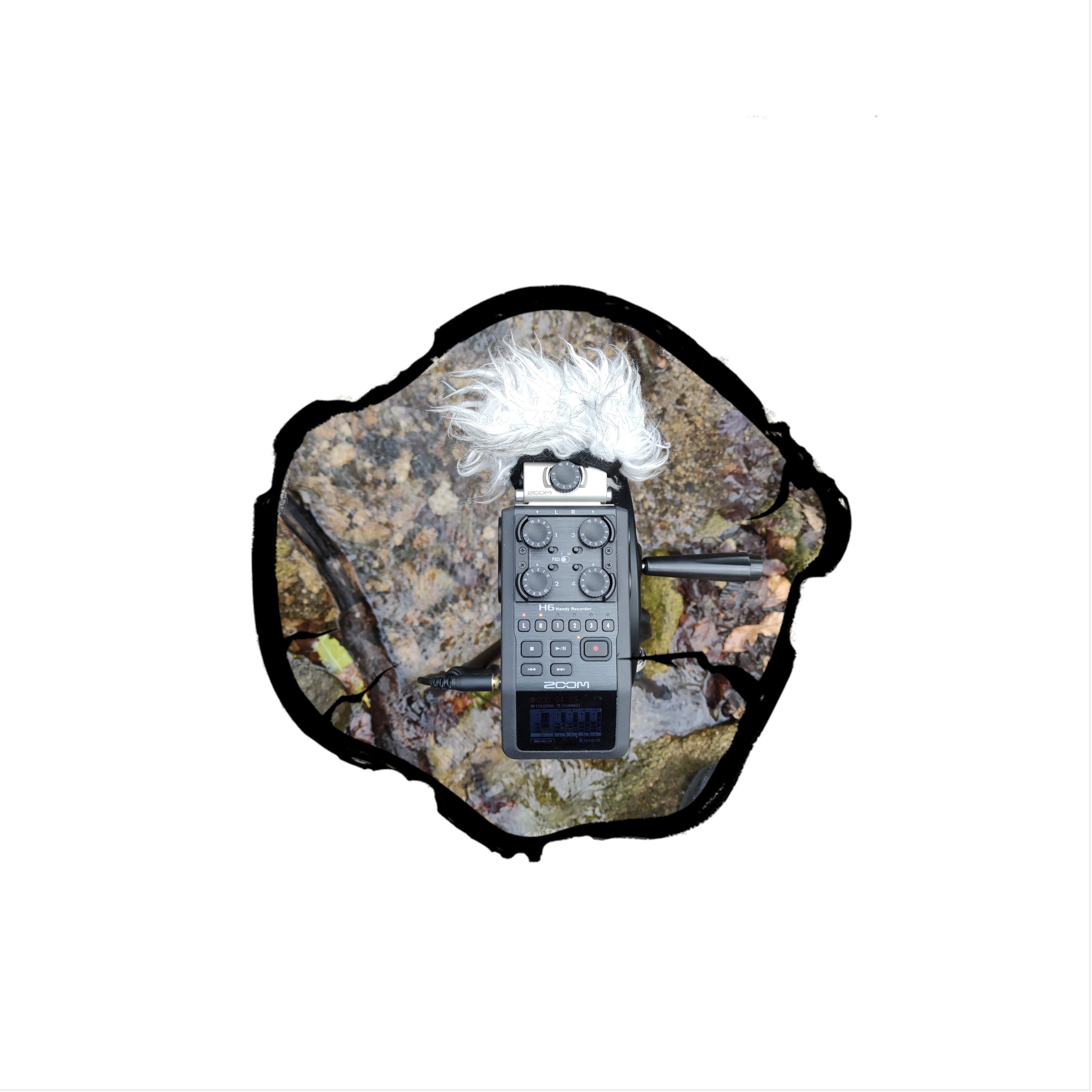School of Wild Listening: Listening Group Open Call
