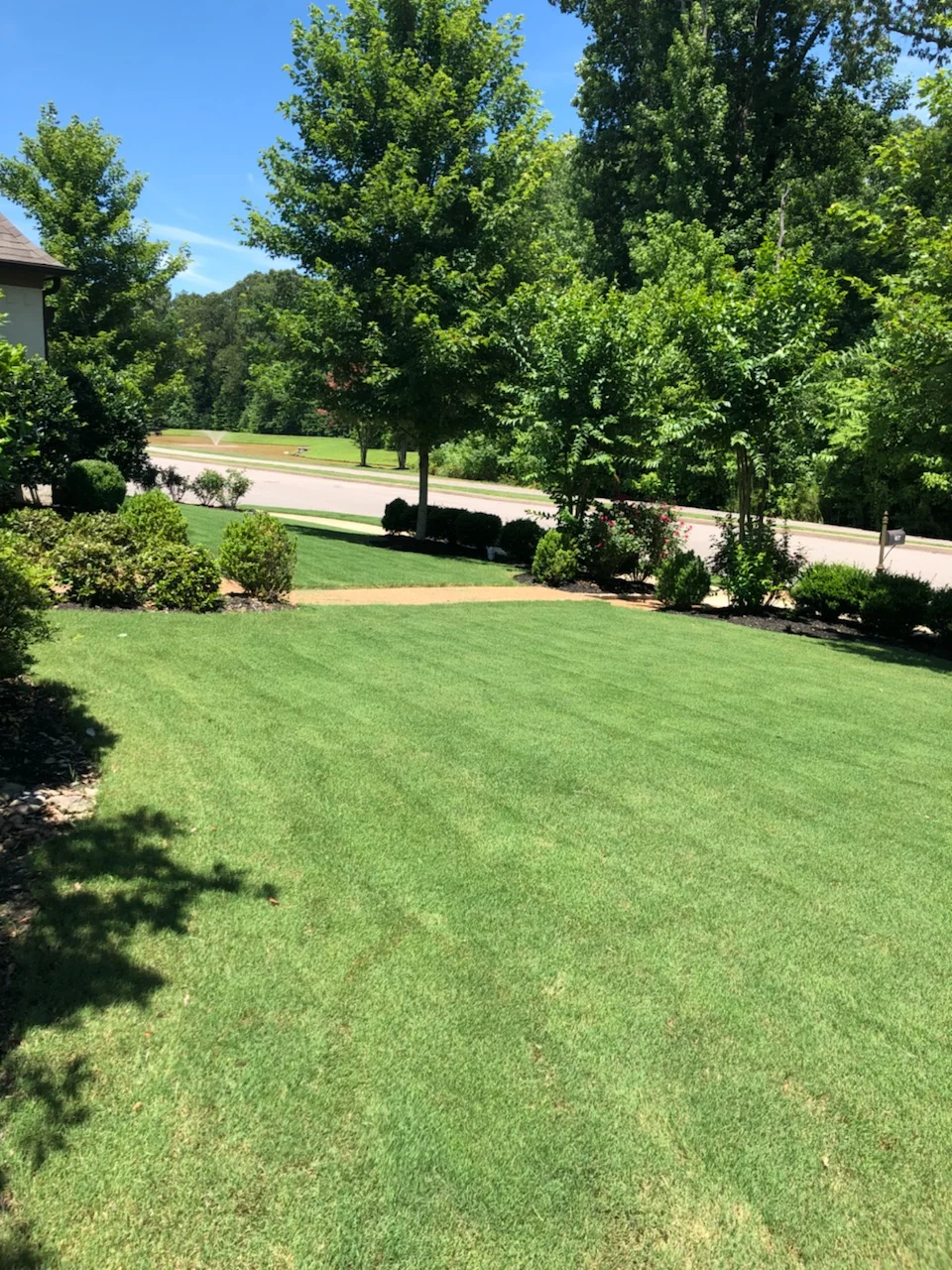 Top Notch Lawn Care Youtube / Lawn Striping Fall Cleanup Mowed Twice