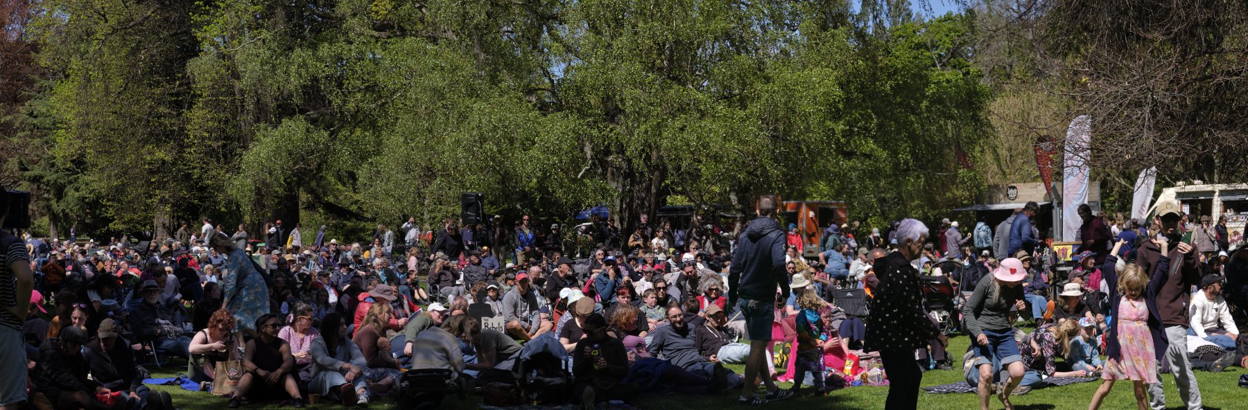 BB festival crowd shot.jpg