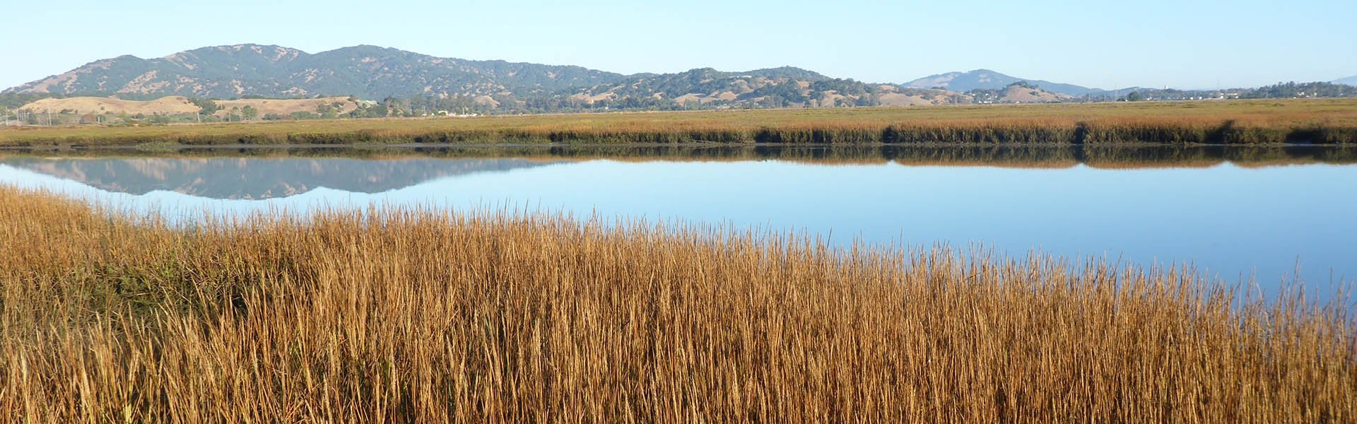 San Francisco Bay Reserve, CA