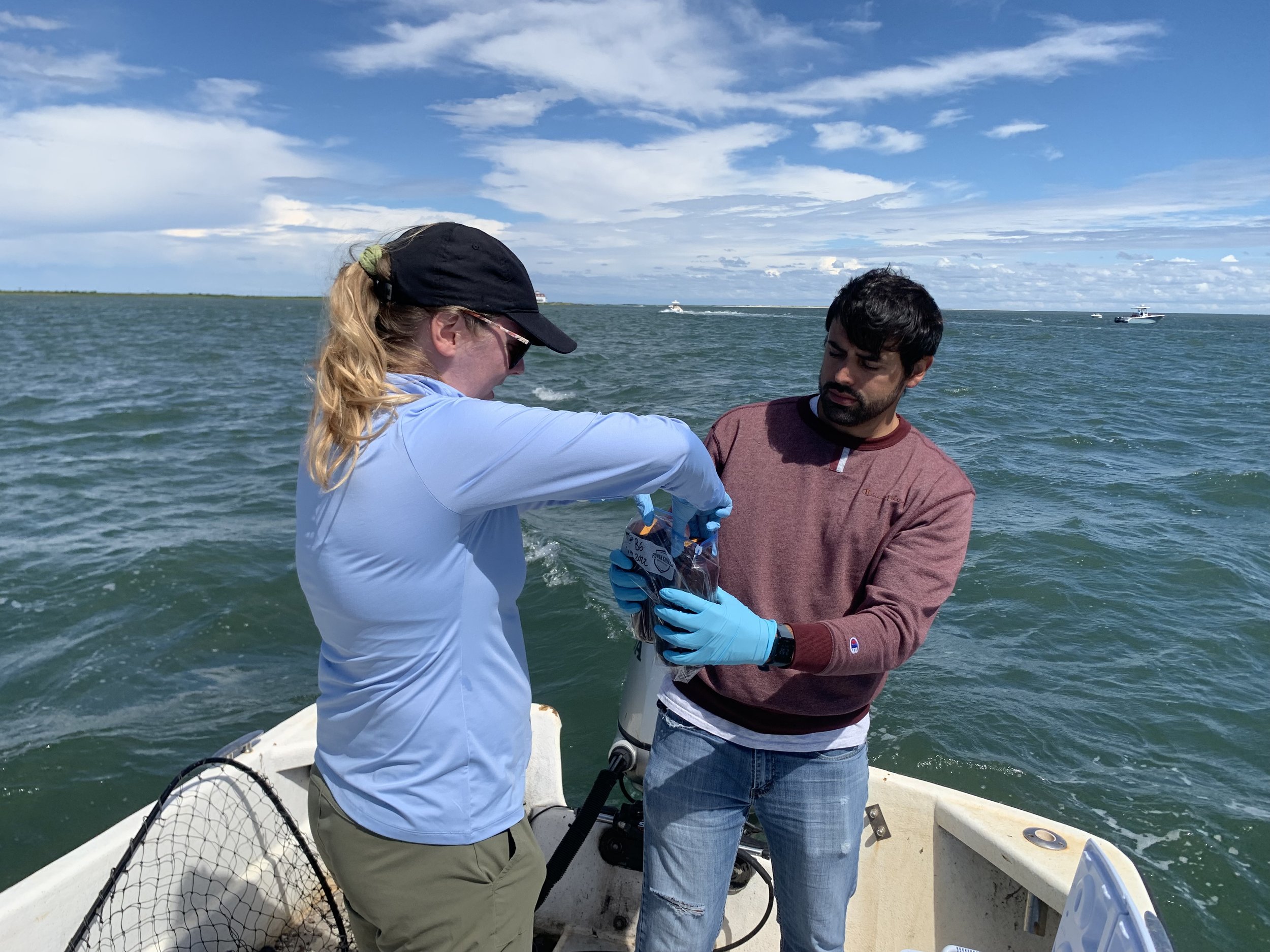 Water sampling at JCNERR