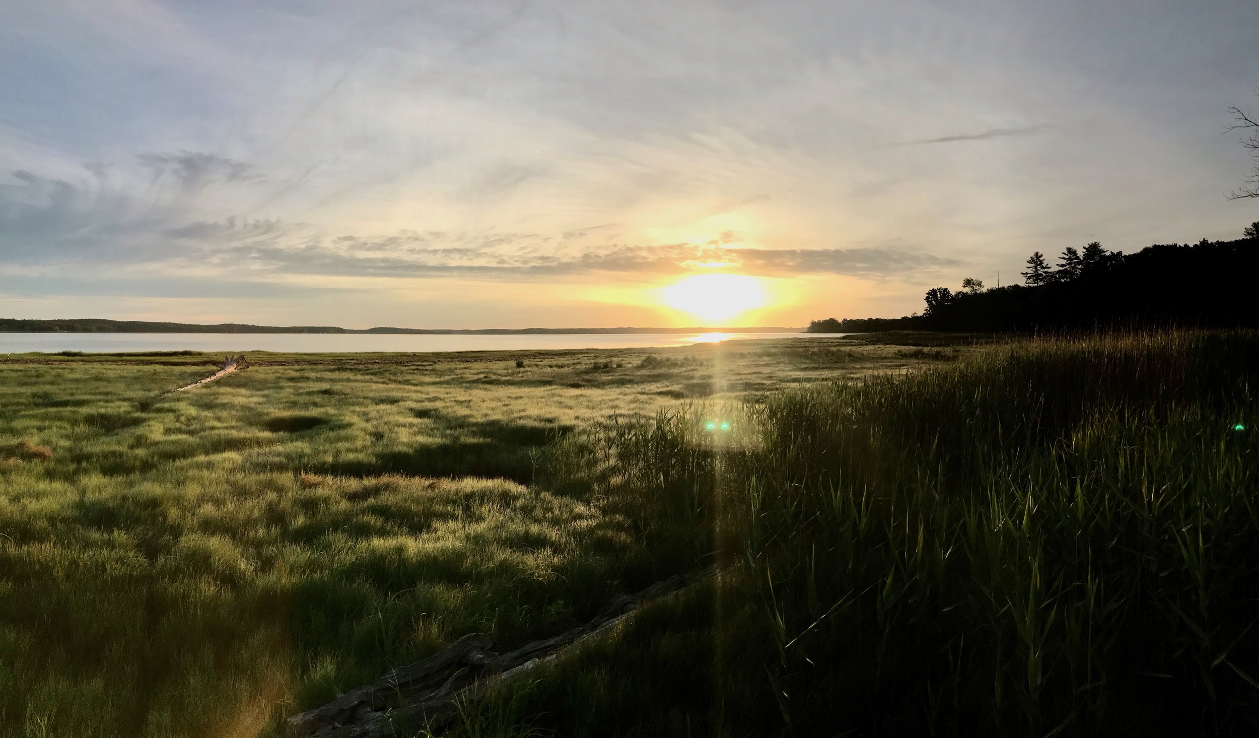 Great Bay Reserve, NH