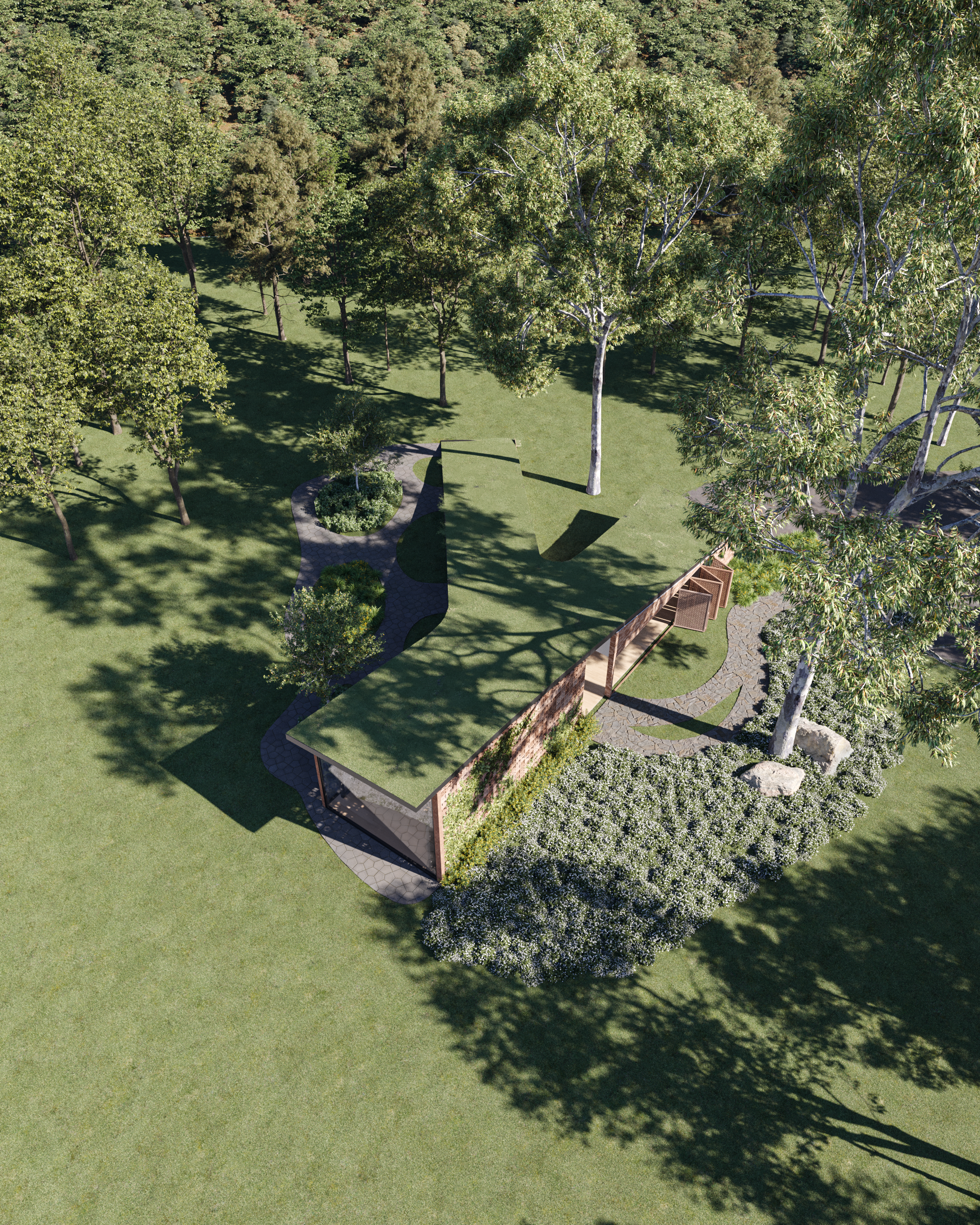 Swooping Gallery (5).png