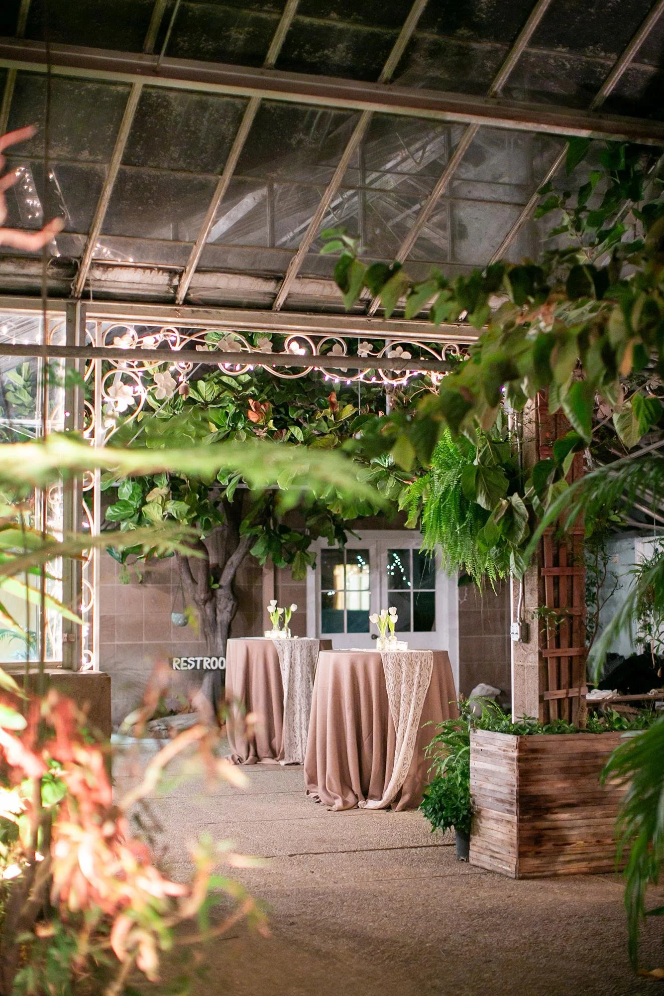 Wedding cocktail hour beneath the glass roof of the greenhouse at Dos Pueblos Orchid Farm