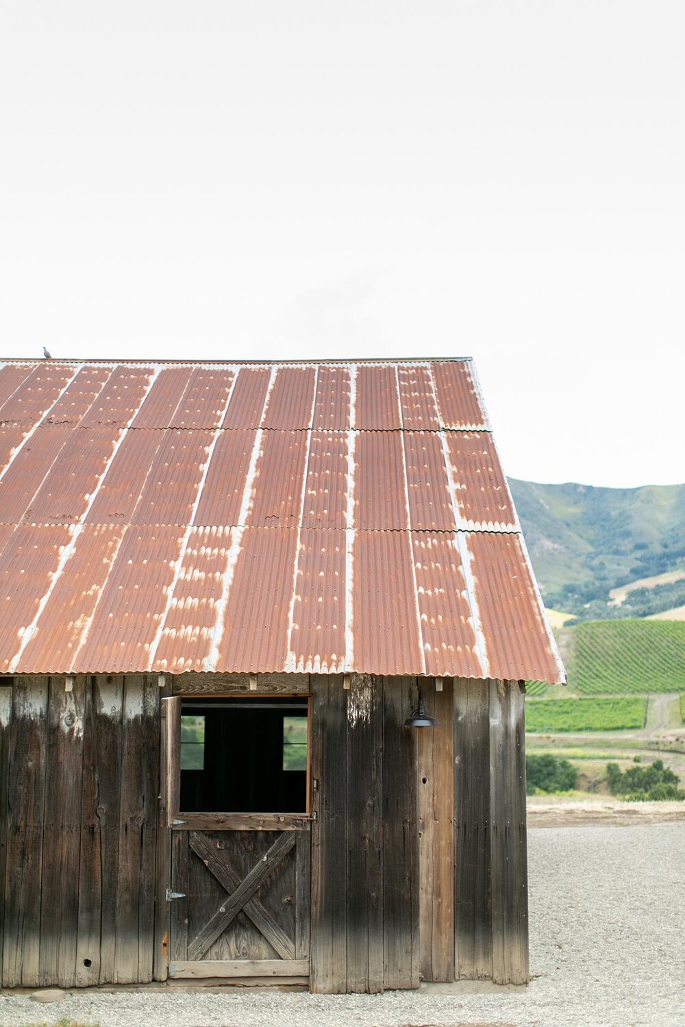 Rio Vista Vineyard Wedding Santa Ynez | Miki & Sonja Photography | mikiandsonja.com