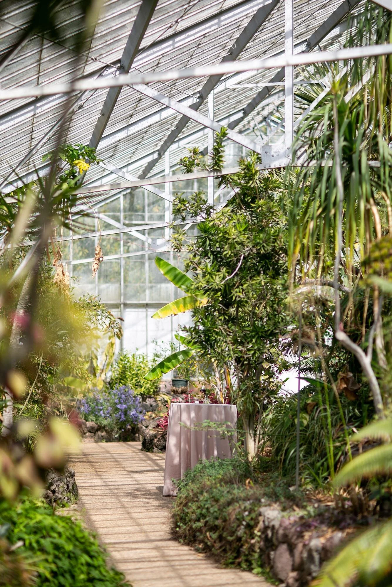 Wedding cocktail hour tables surrounded by lush plants inside the greenhouse at Dos Pueblos Orchid