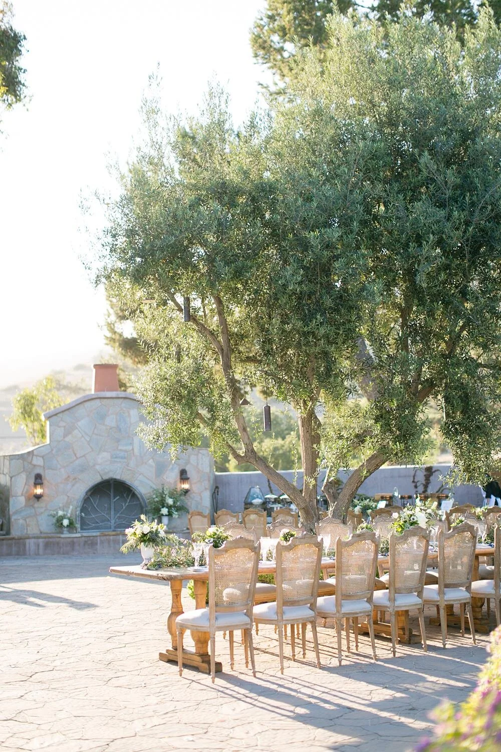 Wedding reception wooden table styled beneath an oak tree at Catalina View Gardens
