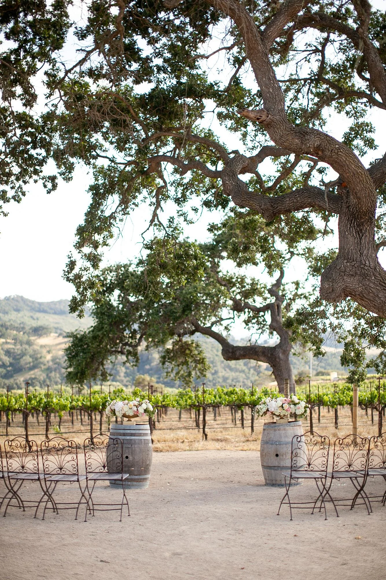 Wedding ceremony at Sunstone Winery and Villa beneath a large oak with florals on barrels