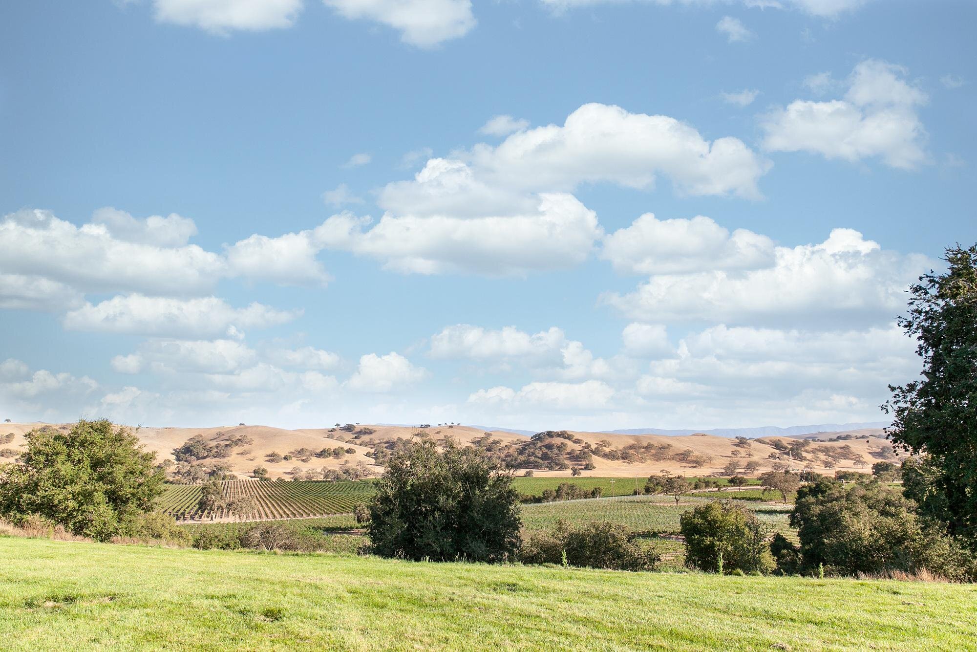 Firestone Winery