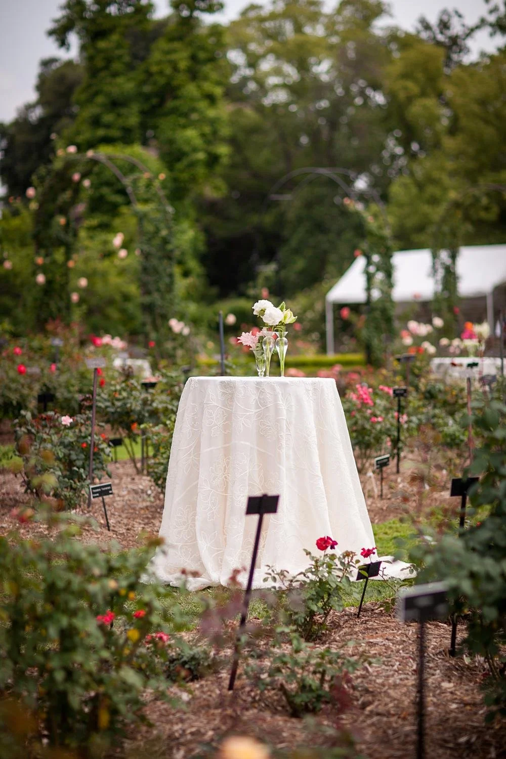 Detail of cocktail table set among roses during a Huntington Library wedding celebration