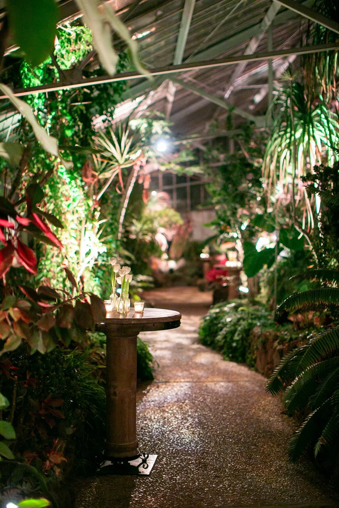 Wedding cocktail hour table detail with lighting inside the greenhouse at Dos Pueblos Orchid Farm