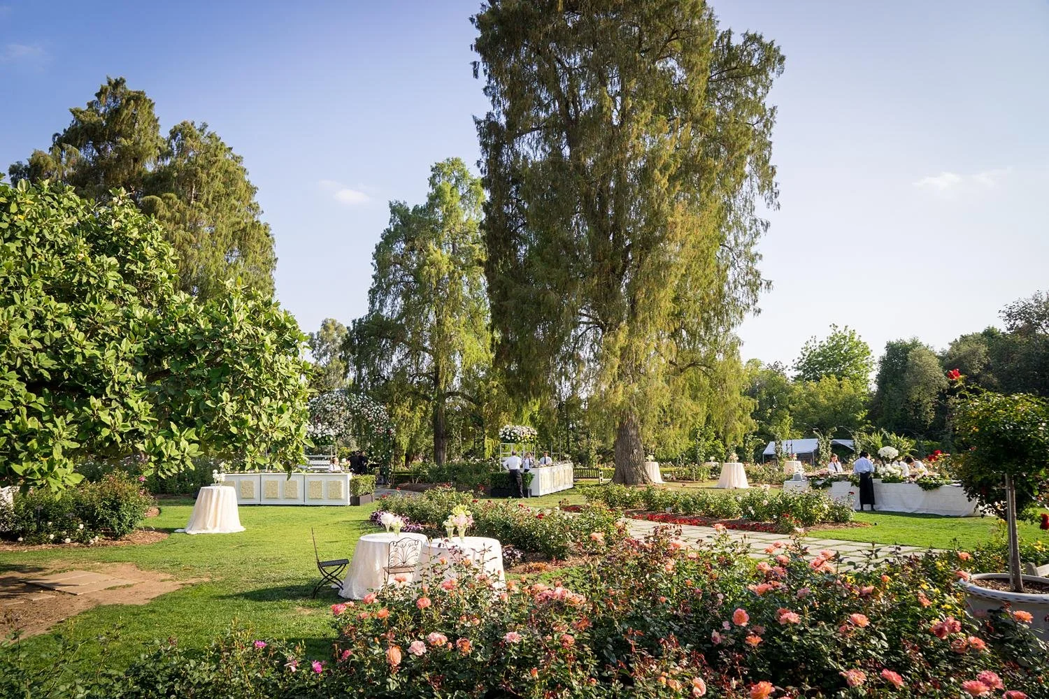 Wedding cocktails in Rose Garden with tables and custom bar at Huntington Library and Gardens