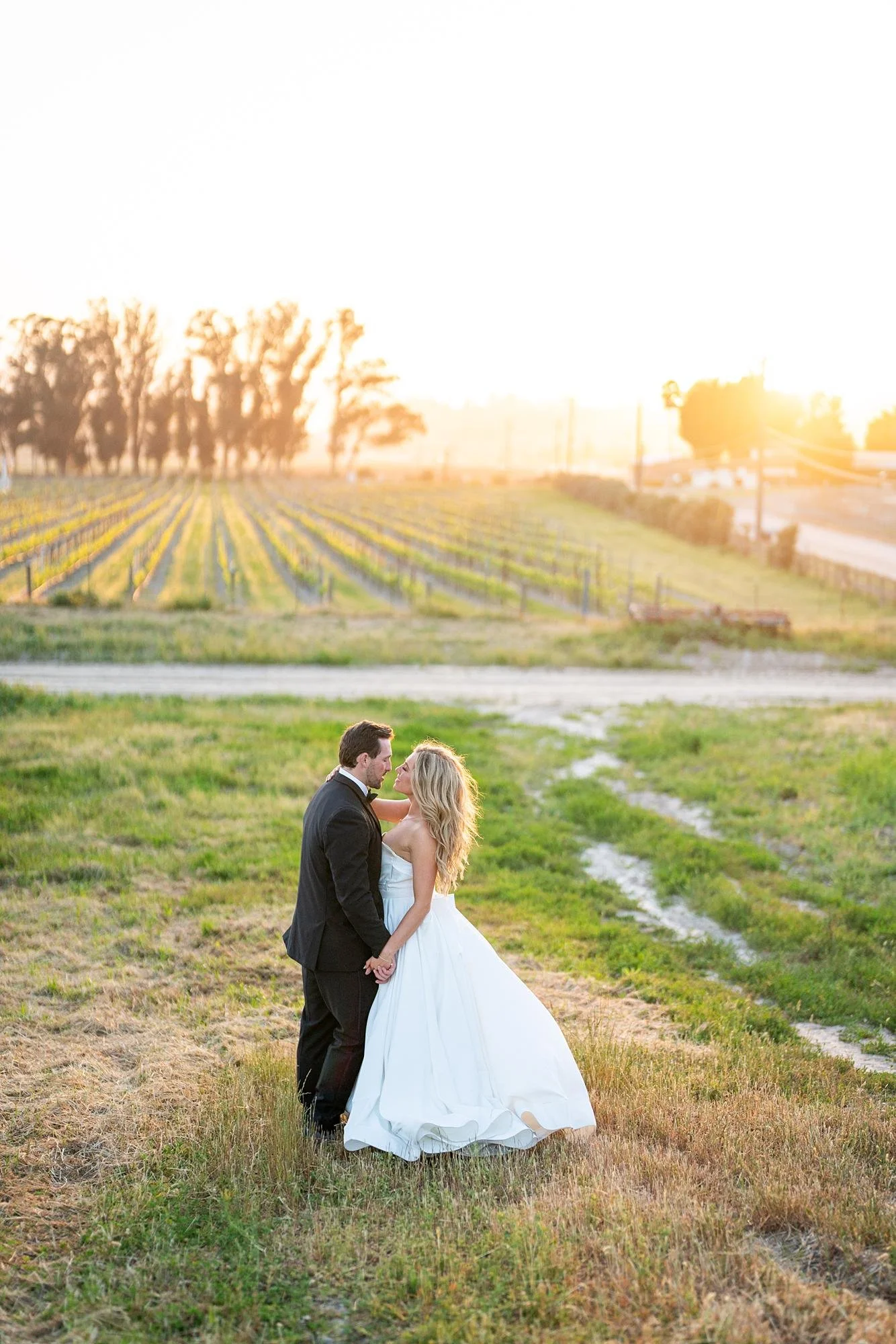 Wedding portrait of bride and groom at sunset with vineyard views at La Arboleda