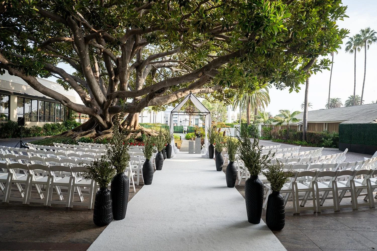 Wide view of a Moreton Bay Circle wedding ceremony under the historic fig tree at Fairmont Miramar